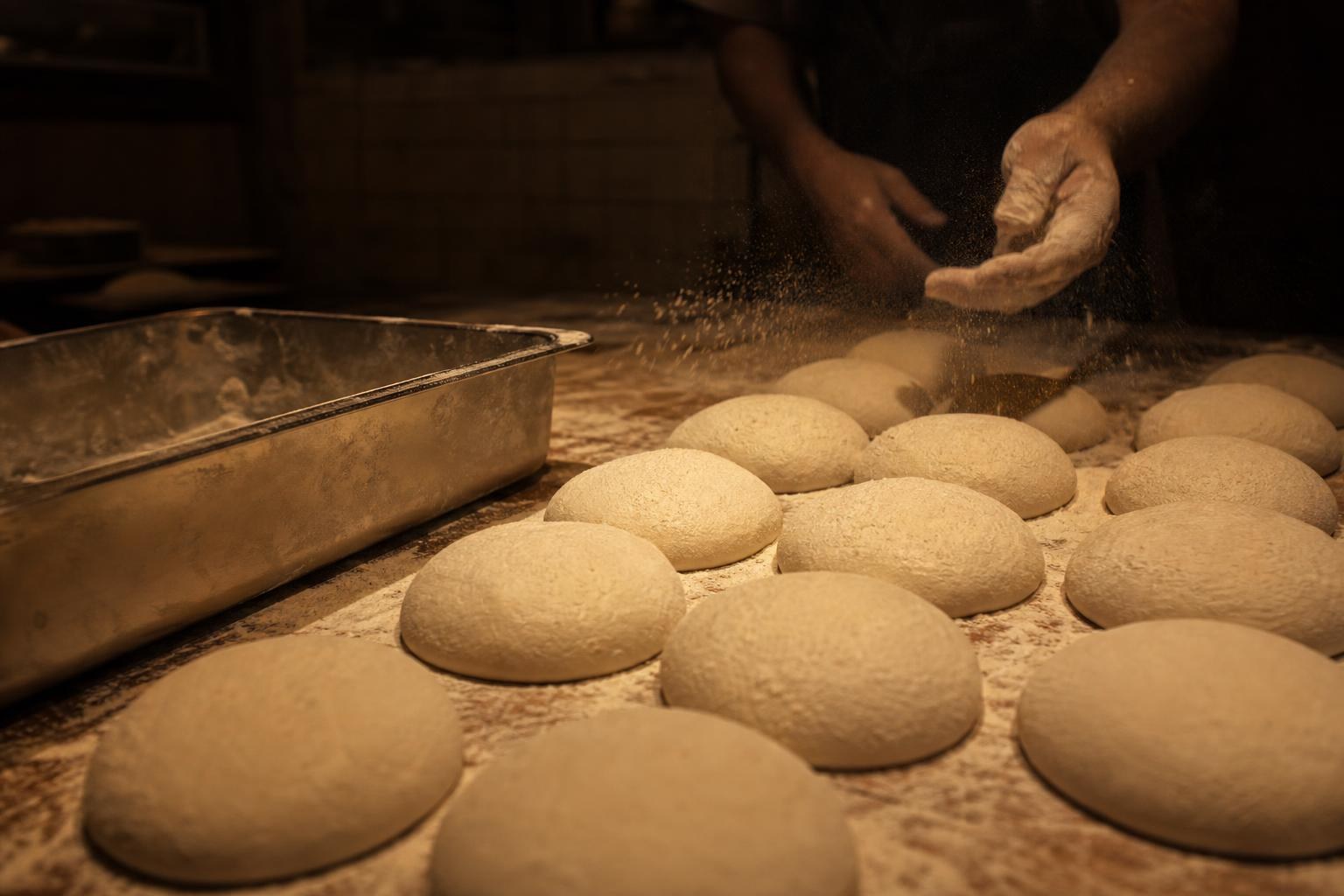 Rows of proofed dough balls on a floured wooden bench